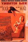 The Book of the Mad (Secret Books of Paradys)