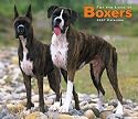 For the Love of Boxers 2007 Deluxe Calendar (Multilingual Edition)