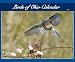 Birds of Ohio 2007 Calendar by Sharon Stiteler ISBN 1591931622