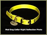 Super Reflective Gold Dog Collar - Small - by Vedante | Bonus Glow in the Dark Tag