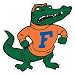 Florida Gators 8 Inch Albert Car Magnet