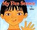 My Five Senses (A let's-read-and-find-out-book)