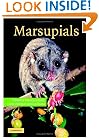 Marsupials