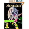 Marsupials