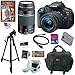 Canon EOS Rebel T5i 18.0 MP CMOS Digital Camera with EF-S 18-55mm f/3.5-5.6 IS STM Zoom Lens + EF 75-300mm f/4-5.6 III