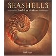 Seashells: Jewels from the Ocean