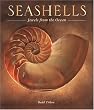 Seashells: Jewels from the Ocean