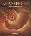 Seashells: Jewels from the Ocean