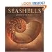 Seashells: Jewels from the Ocean