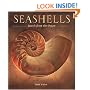 Seashells: Jewels from the Ocean
