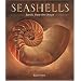 Seashells: Jewels from the Ocean