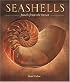 Seashells: Jewels from the Ocean