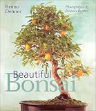 Beautiful Bonsai by Bruno Delmer,Jacques Boulay