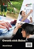 Gwerth eich halen ; Dyddiadur Ifan