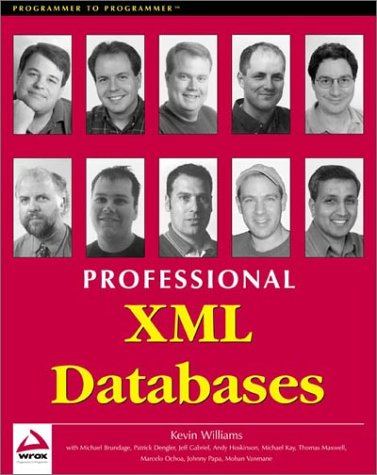 Image of: Professional XML Databases