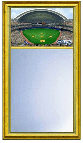 Toronto Blue Jays Rogers Centre Stadium Large Mirror