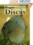 Degen Discus Book