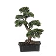 2 ft Artificial Cedar Bonsai Tree