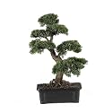 2 ft Artificial Cedar Bonsai Tree