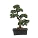 2 ft Artificial Cedar Bonsai Tree