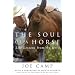 The Soul of a Horse: Life Lessons from the Herd