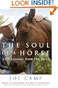 The Soul of a Horse