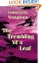 The Trembling of a Leaf