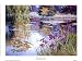 Meditation Pond Art Poster PRINT Lynn Gertenbach 8x6