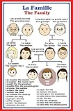 French Language School Poster: French words about family members with English translation - classroom chart