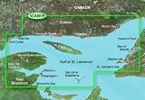 Garmin Vca007R G2 Vision - Cartography - Garmin Vision