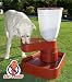 Feeding Friend Elevated Ant-Proof Pet Feeder and Waterer