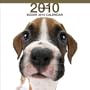 Boxer 2010 Square Wall ARTLIST (The Dog)