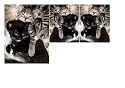Siwo - Design Katzen Fliesen Dekoration (352)