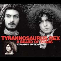 A Beard Of Stars (16 bonus tracks)