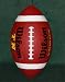 WILSON TN Senior american football ball