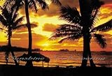 Caribbean Sunset 3914 Wall Mural