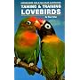Taming and Training Lovebirds
