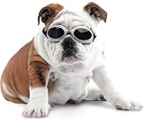 Doggles Originalz Large Black/Smoke
