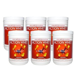 Action Whey Protein Shake - Chocolate (6 Pack)
