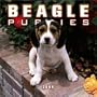 Beagle Puppies Mini 2004 Calendar