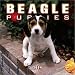 Book Beagle Puppies Mini 2004 Calendar
