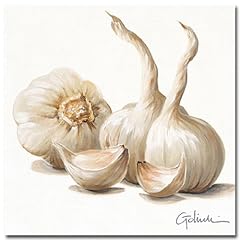 Kunstdruck, Poster, Stillleben von Paolo Golinelli, KNOBLAUCH, Kunstartikel Bild f�r K�che, Esszimmer 30 x 30 cm
