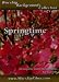 Worship Backgrounds Collection Vol 3, No. 1: Springtime: 20 Loopable Video Backgrounds for Worship (MPEG)