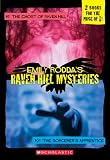 Raven Hill Mysteries 1-2 (Raven Hill Mysteries)