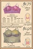Art Poster, Alencon Lace and Regal Broadcloth Brassieres - 18.75 x 27.5
