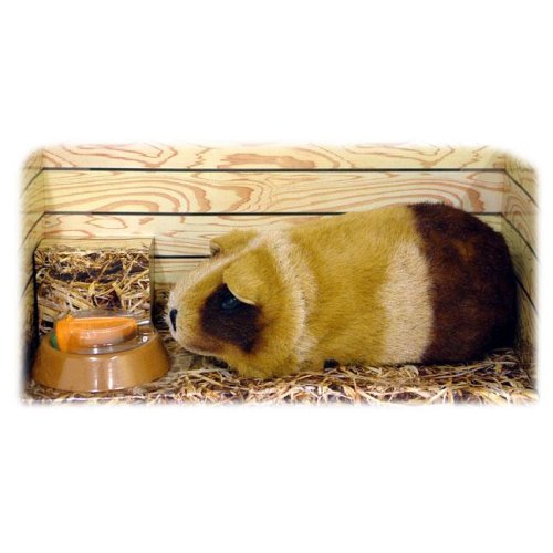 Childrens Toyshop  Toys : Gupi