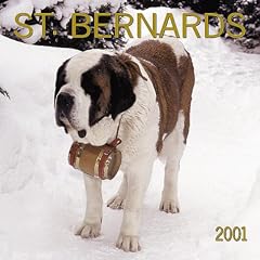 Saint Bernards 2001 Calendar