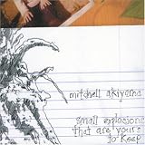 Small Explosions That Are Yours to Keep