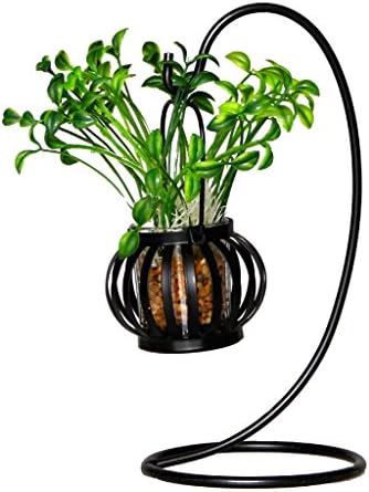 Alilaw Artificial Potted Plant in Lantern Hanger, Bean Sprout, 8 Inch