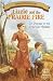 Lizzie And the Prairie Fire: Girl Pioneer in the American Midwest (American Frontier Story) (American Frontier Story)